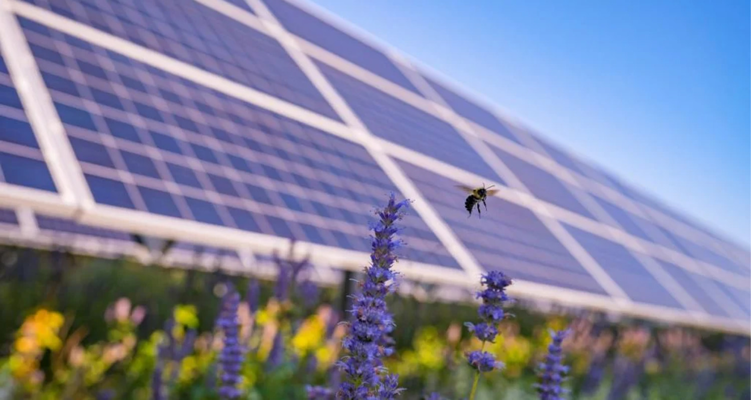 意大利Whysol公司获得融资，用于建设328兆瓦农业光伏和储能项目组合。